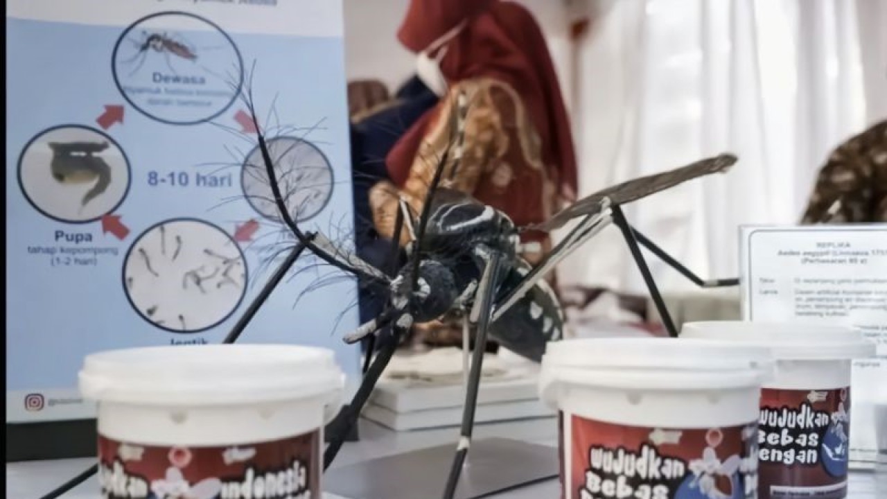 Ilustrasi - Telur nyamuk ber-Wolbachia. (ANTARA/HO-Dinkes Bandarlampung)