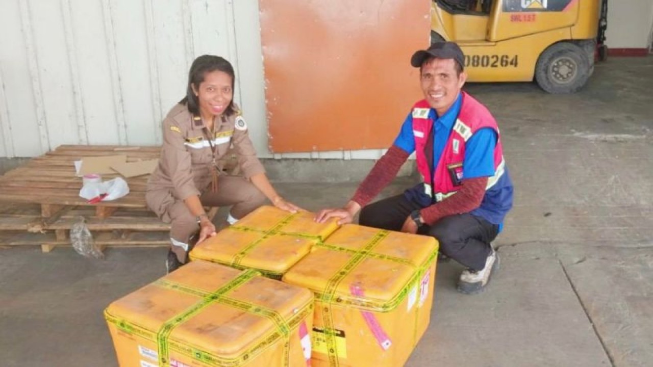 Petugas Kantor Karantina Pertanian Papua Tengah saat melakukan pemeriksaan terhadap media pembawa benih sayuran dari Kabupaten Purwakarta, Jawa Barat. HO-Humas Karantina Pertanian Timika.