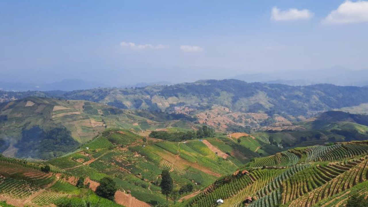 Suasana di kawasan Terasering Panyaweuyan yang menjadi salah satu destinasi favorit di Majalengka, Jawa Barat. (ANTARA/Fathnur Rohman)