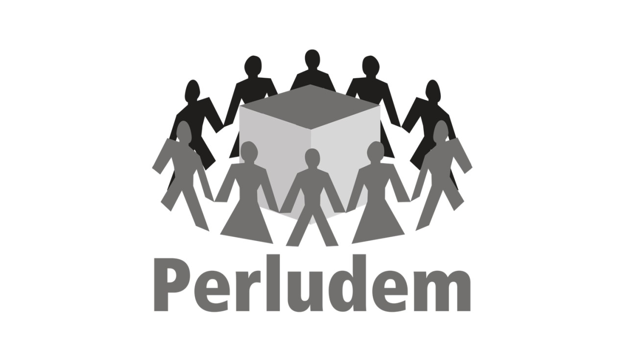 Logo Perludem/ist