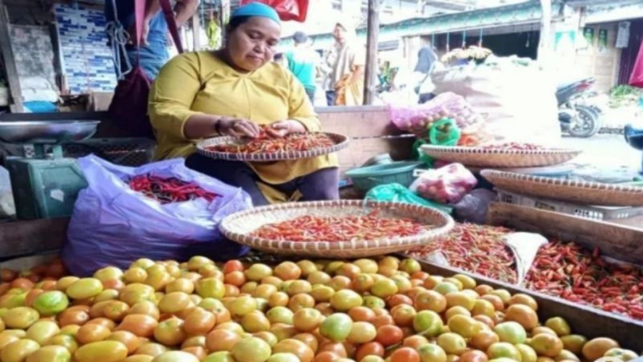 Seorang pedagang sayur memilah cabai di Pasar Tradisional Ampera Tanah Bumbu Provinsi Kalimantan Selatan, Minggu (21/1/2024). (ANTARA/Sujud Mariono)
