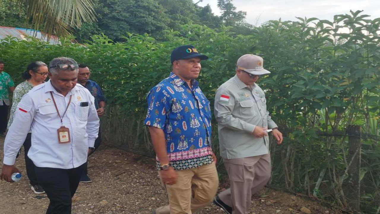 Kepala Dinas Pertanian, Pangan, Perikanan, dan Kelautan Provinsi Papua Barat Daya Absalom Salossa saat mendampingi Wakil Menteri Pertanian (Wamentan), Harvick Hasnul Qolbi pada kunjungan kerja di Papua Barat Daya, Kamis (28/12) (ANTARA/Yuvensius Lasa Banafanu)