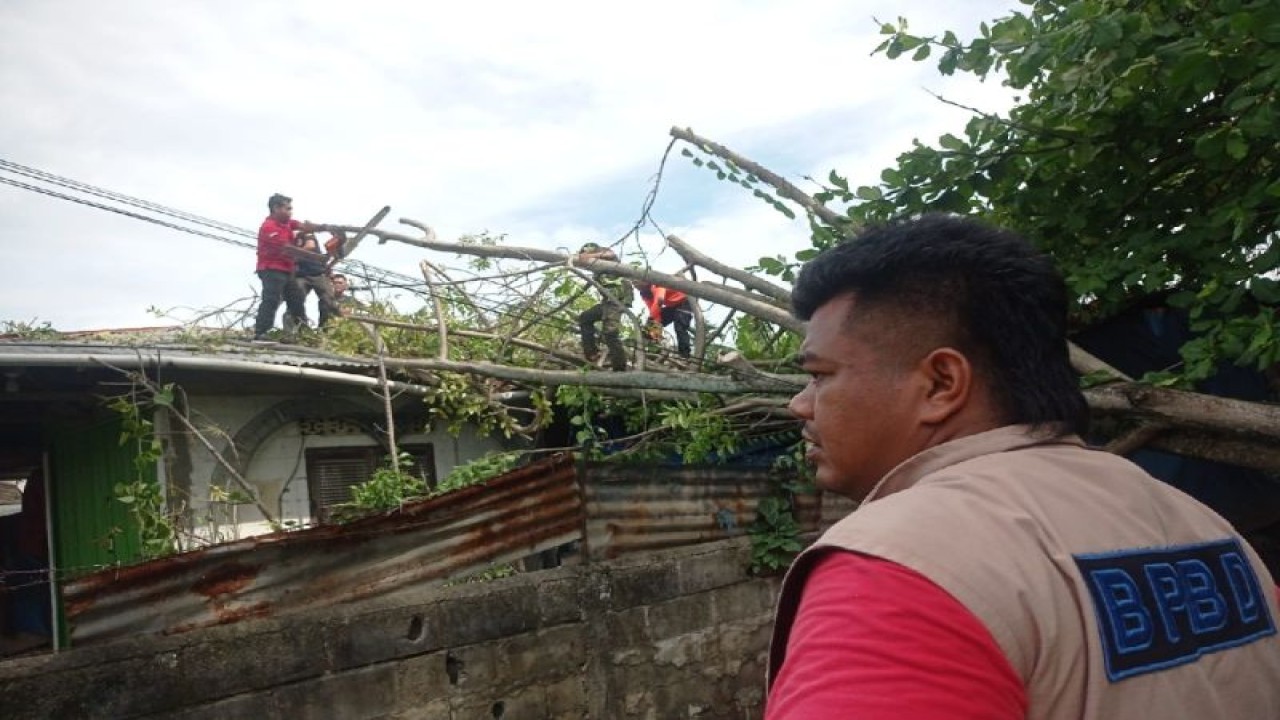 Peraonel BPBD Padang membersihkan material pohon yang menimpa rumah warga pada Senin (1/1). ANTARA/HO-BPBDPadang