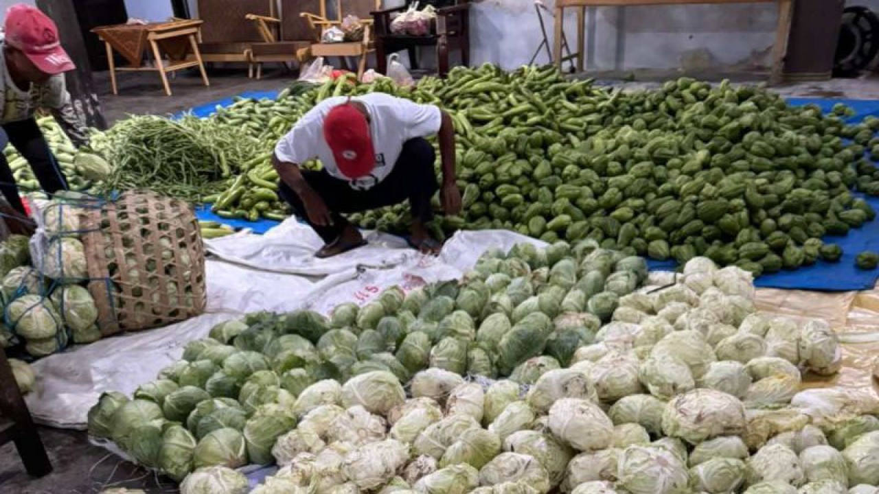 Relawan Prabowo Peduli Petani (RPPP) memborong sayur-mayur dari petani di beberapa sentra sayuran di Jawa Tengah saat harga jatuh. ANTARA/Heru Suyitno