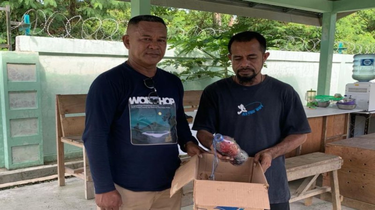 Satwa burung Kasturi Ternate yang diamankan petugas BKSDA di Pelabuhan Yos Sudarso Ambon. (ANTARA/Winda Herman)