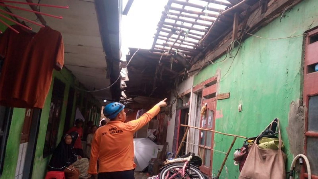 Seorang petugas BPBD DKI Jakarta sedang meninjau rumah roboh di Semanan, Kalideres, Jakarta Barat, Selasa (30/1/2024). ANTARA/HO-BPBD DKI