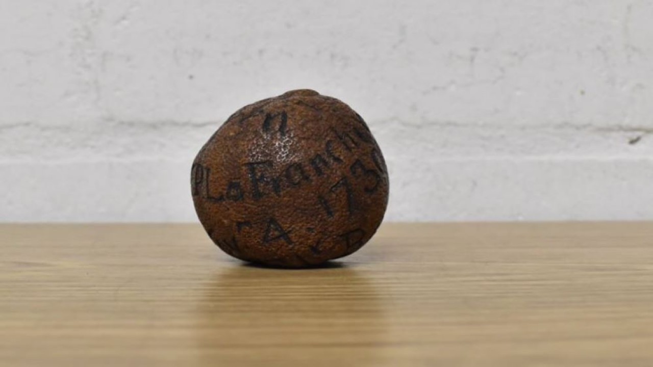 Jeruk lemon berusia 285 tahun dilelang seharga Rp28 juta di Inggris. (Instagram @brettellsauctions)