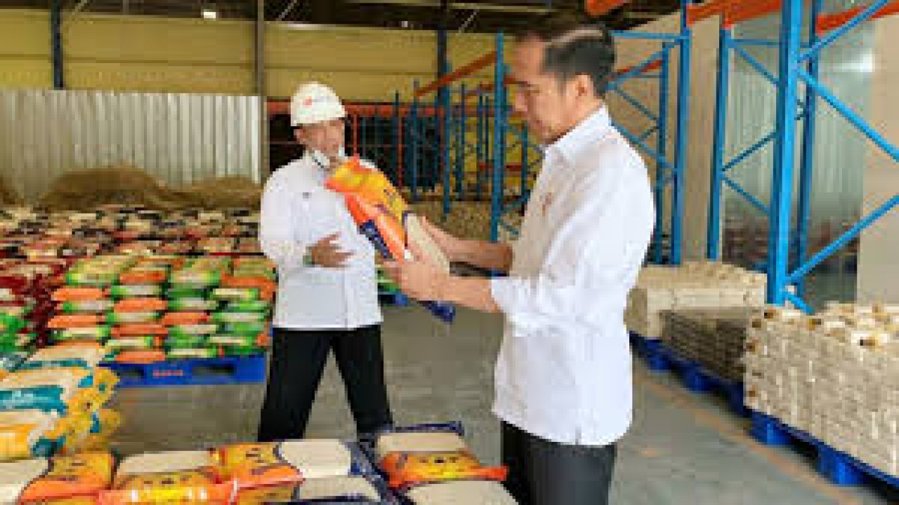 Presiden Jokowi meninjau kondisi stok beras Bulog/ist
