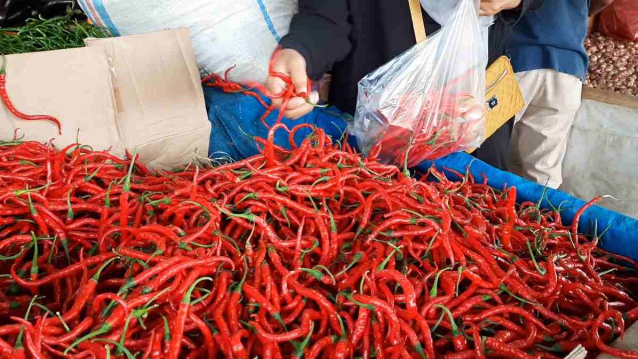 Cabai merah keriting/ist