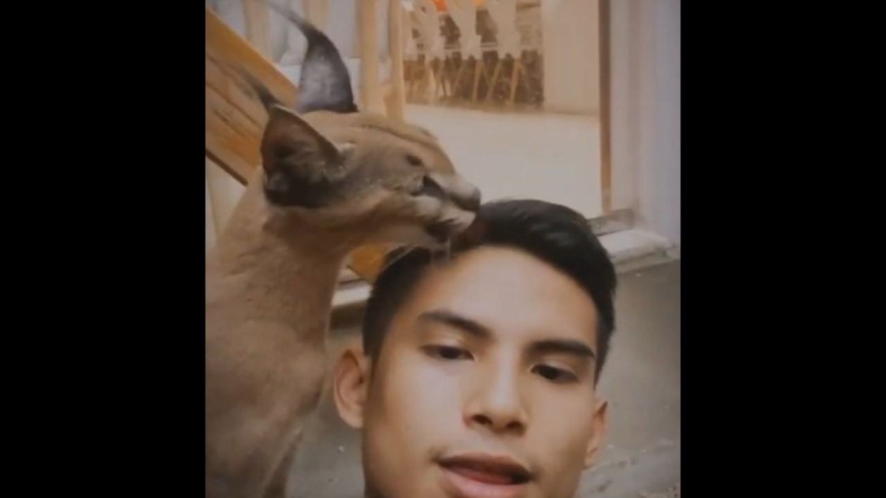 Niko Al Hakim. (Foto: Instagram)