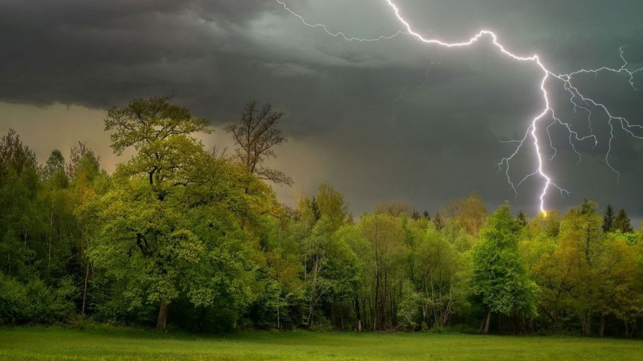 Ilustrasi sambaran petir/ist