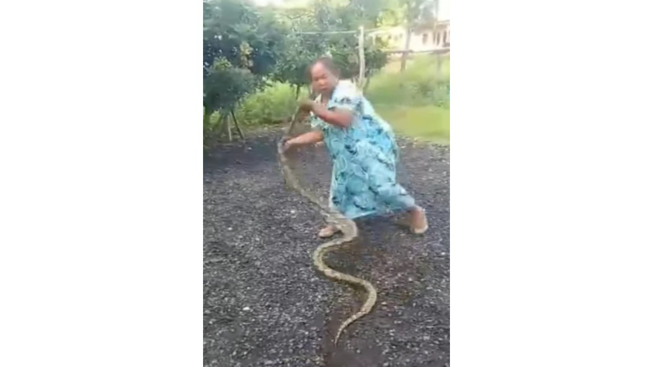 Tangkap layar video emak-emak banting ular di Madura. (Foto: Instagram)