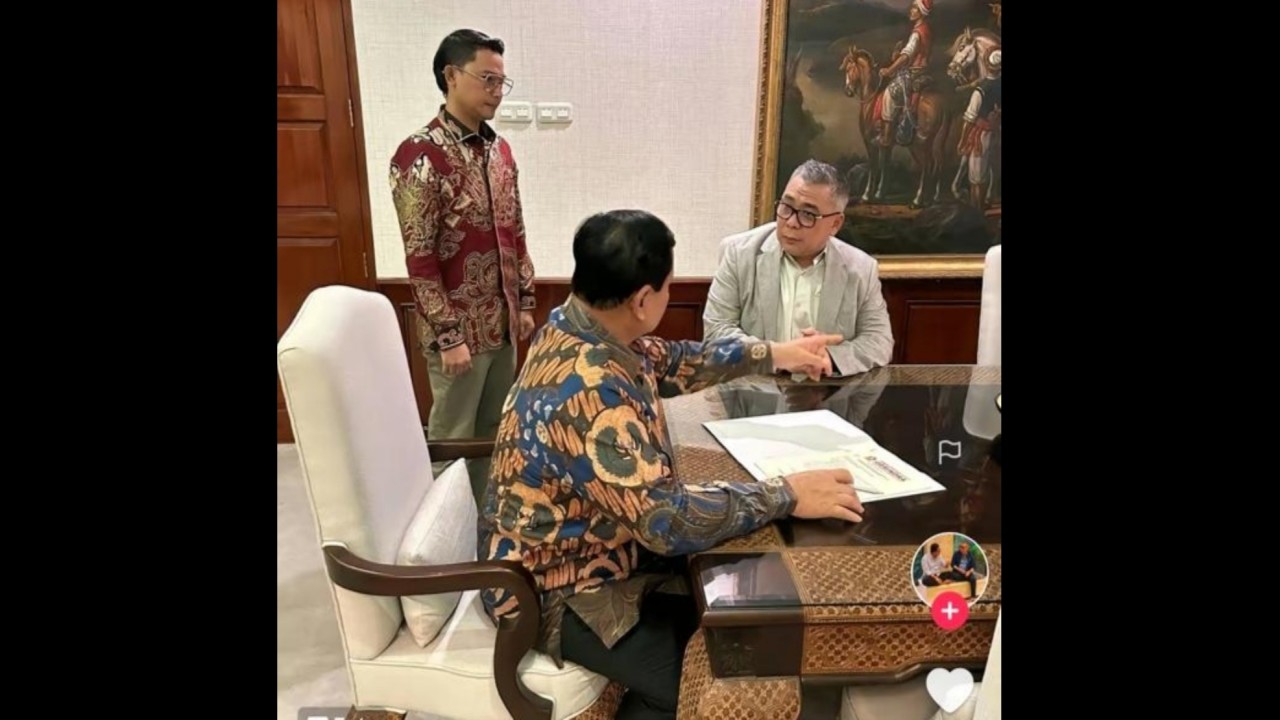 Waketum NasDem Ahmad Ali, saat menemui presiden terpilih Prabowo Subianto. (TikTok)