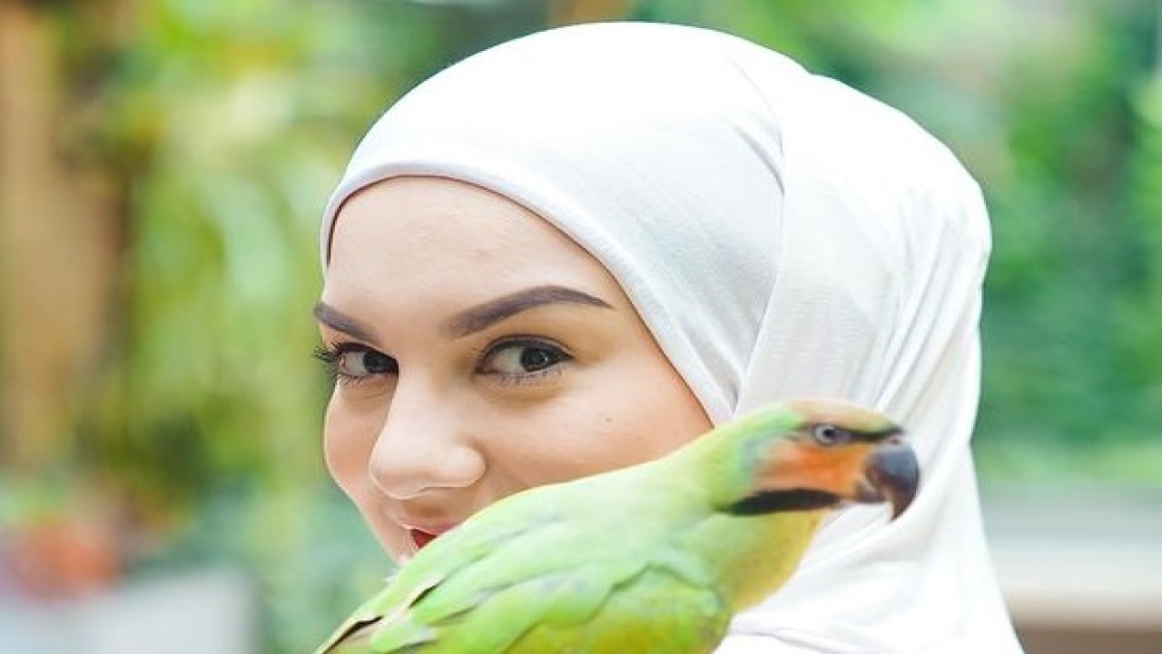 Irish Bella (Instagram)