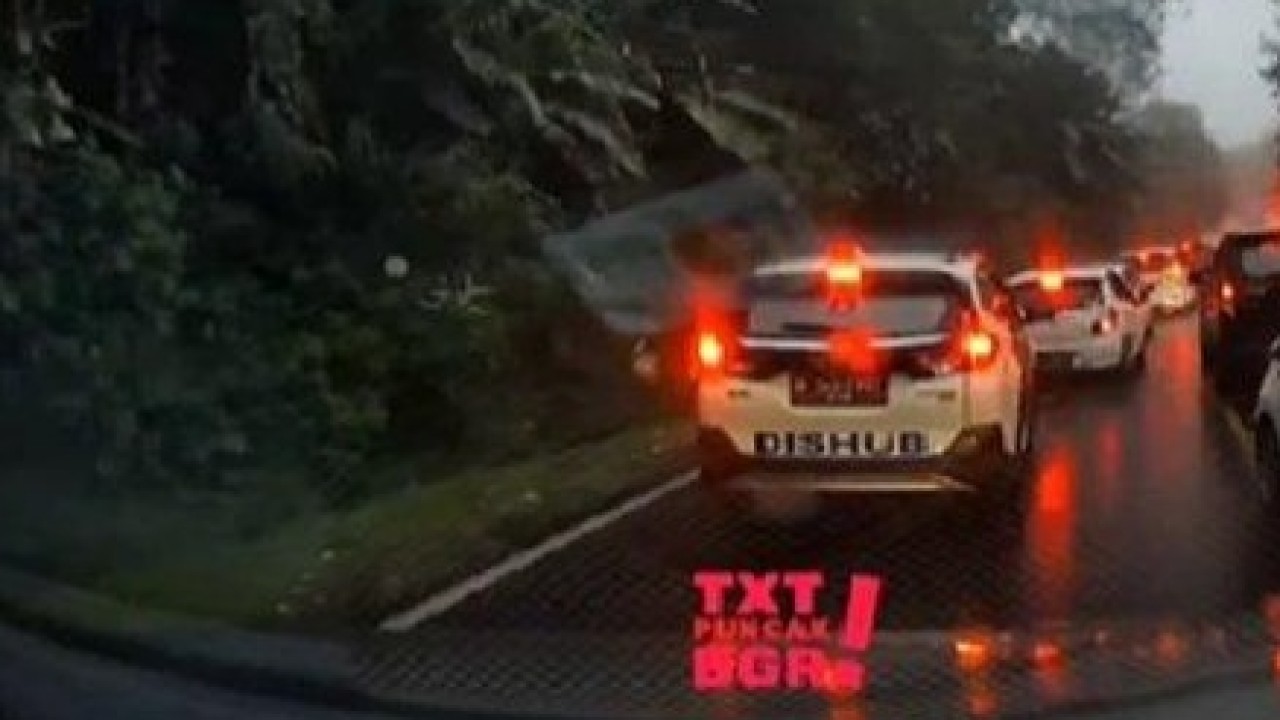 Mobil Dishub buang sampah sembarangan.