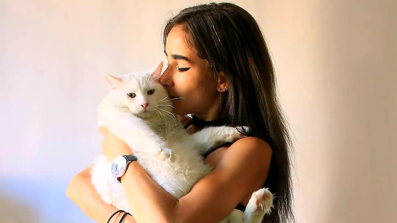 Hanya memeluk kucing digaji Rp162 juta/Instagram