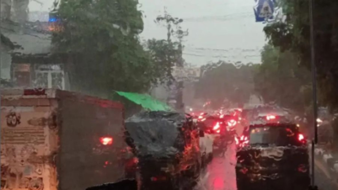 Pohon tumbang di Jalan Margonda Raya (Instagram)