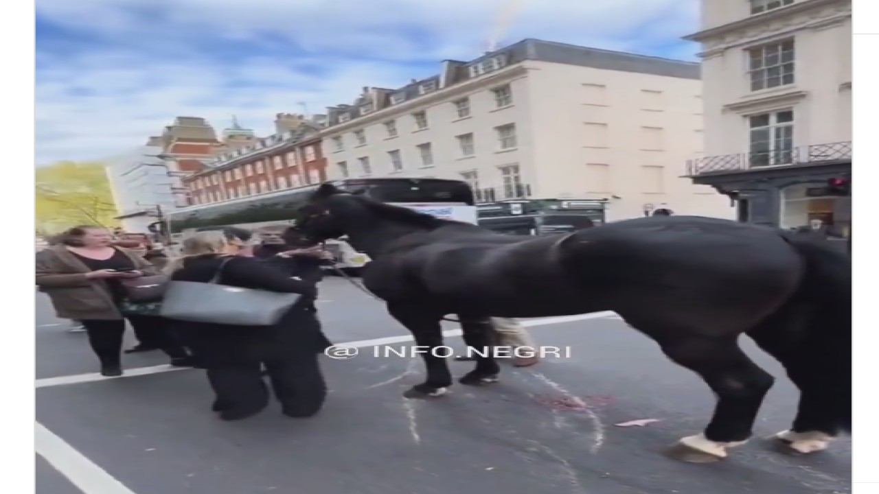 Sejumlah kuda militer dari Household Cavalry Inggris memicu kekacauan di London - tangkapan layar Instagram