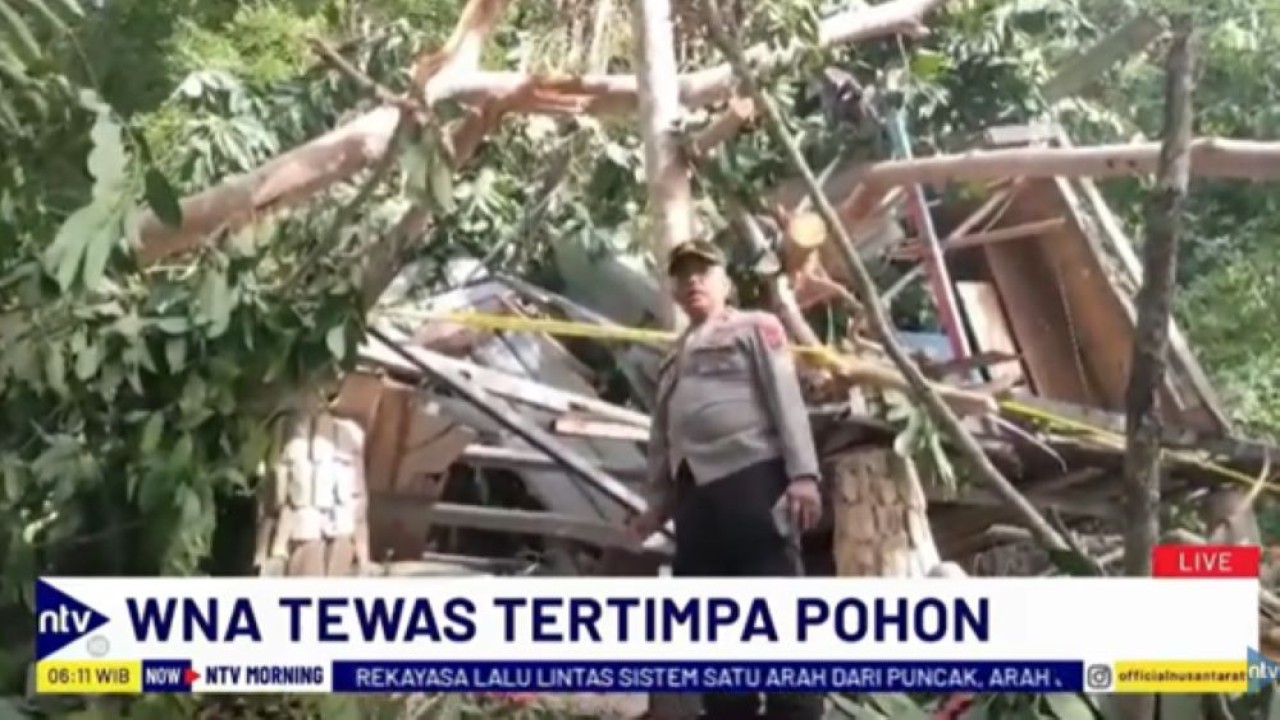 WNA Asal Prancis tewas akibat tertimpa pohon tumbang saat berada di penginapannya