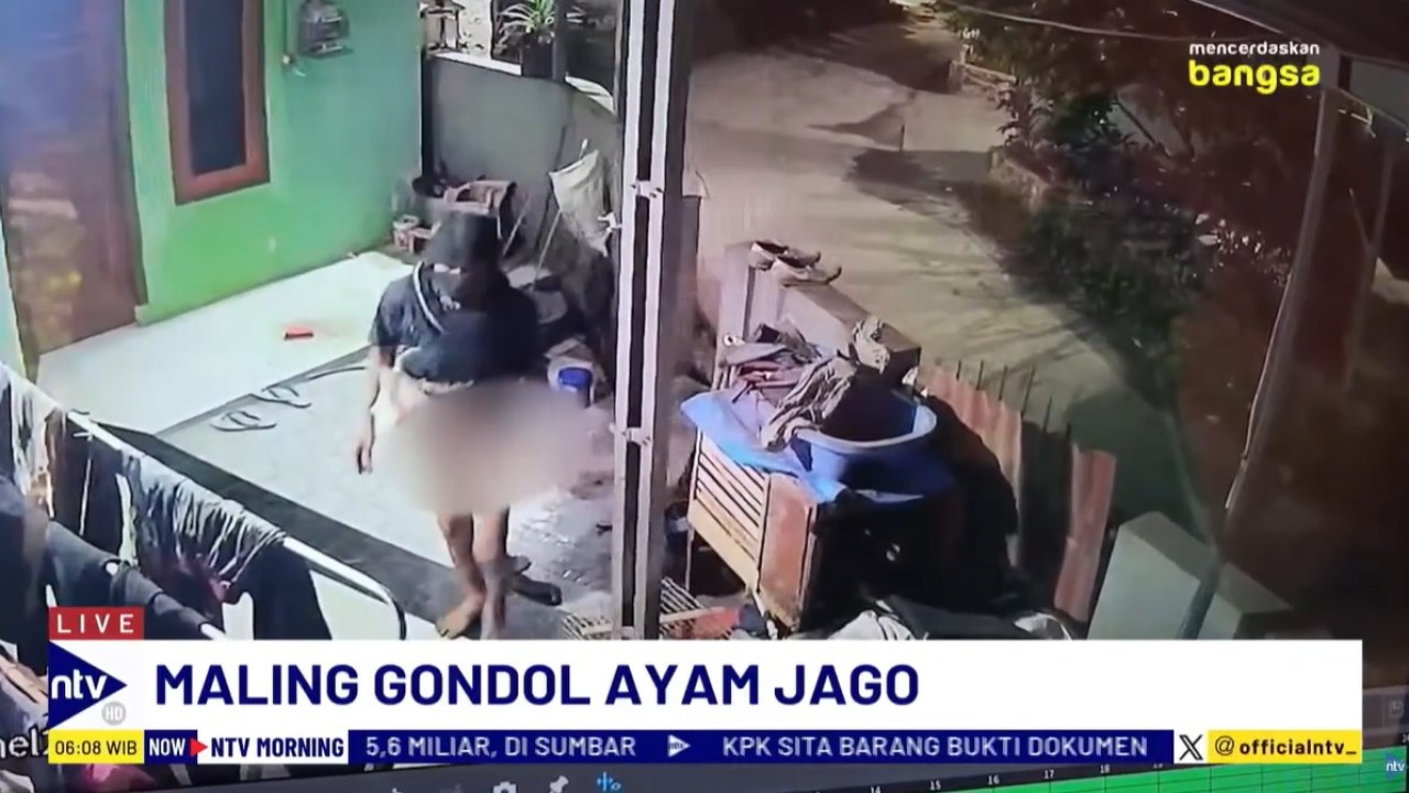 Seorang maling ayam di Kampung Perigi, Bedahan, Sawangan, Depok, Jawa Barat, nekat beraksi tanpa mengenakan celana.