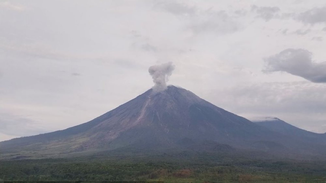 Gunung Semeru kembali erupsi dengan tinggi letusan mencapai 900 meter di atas puncak pada Rabu pagi, 25 Desember 2024. (Foto: X @PVMBG)