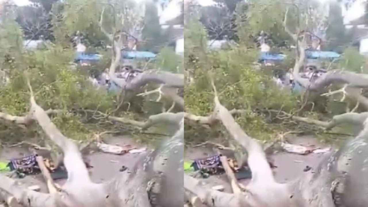 Tiga jemaah meninggal dunia dan belasan lainnya luka-luka akibat tertimpa pohon besar saat menunaikan Salat Idul Fitri di Pemalangl