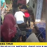 Balita 2 Tahun Tewas-1744249954