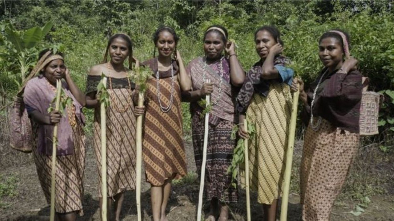 Suku Moi (Dok: Ntvnews.id)