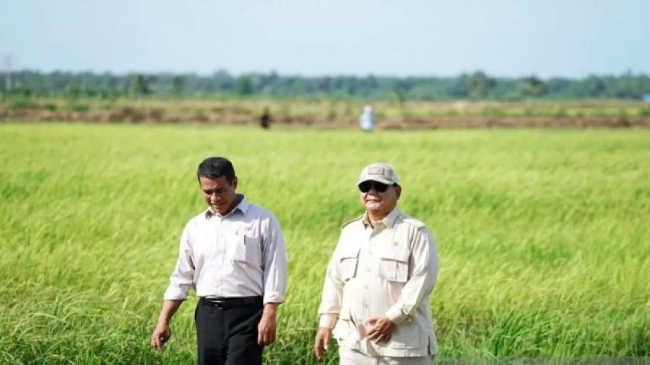 Presiden Prabowo Subianto didampingi Menteri Pertanian Amran saat kunjungan ke Wanam, Kabupaten Merauke, Papua Selatan, Minggu (3/11/2024). (Foto: ANTARA/Handout/am)