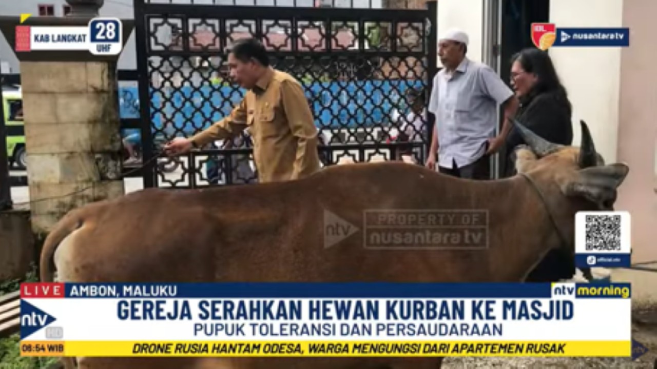 Wakil Ketua I Sinode MPH Sinode GPM Pendeta Lenny Bakarbessy yang didampingi Wali Kota Ambon Bodewin Wattimena yang juga menjabat sebagai Ketua Hari-hari Besar Gerejawi, pada Selasa (3/6/2025) menyerahkan sapi kurban kepada pengurus masjid Al-Fatah Ambon