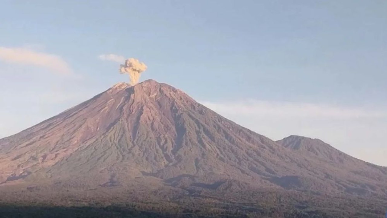 Gunung Semeru erupsi dengan letusan setinggi 1.000 meter di atas puncak pada Kamis (21/8/2025) pagi. (Foto: ANTARA/HO-PVMBG)