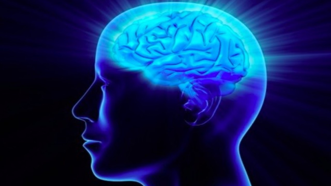 Ilustrasi. Anak superior adalah mereka yang memiliki skor IQ 120-129. (Foto: Istimewa via Carring Minds International)