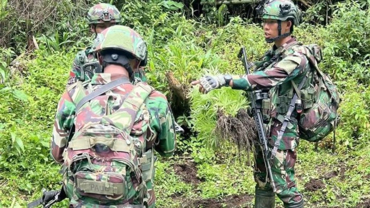 SatgasGabungan Pamtas RI-PNG ungkap empat kebun ganja di Pegunungan Bintang, Papua/Foto: Istimewa