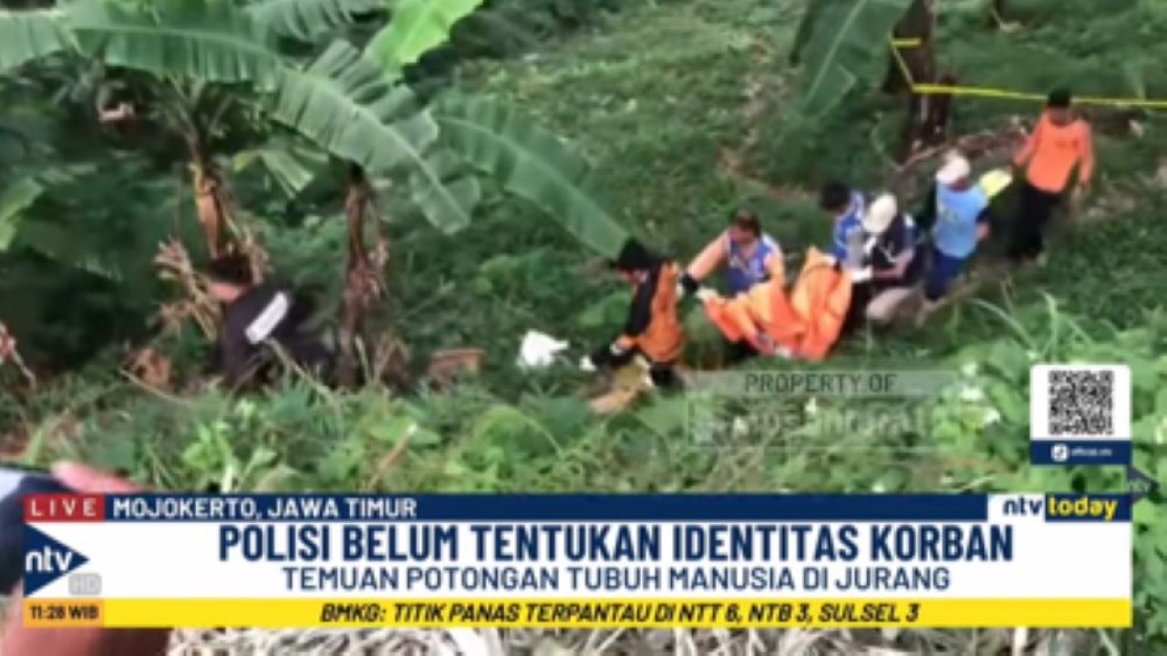 Personel kepolisian mengumpulkan potongan tubuh yang disebar di jurang dan dimasukan dalam kantung jenazah untuk diselidiki