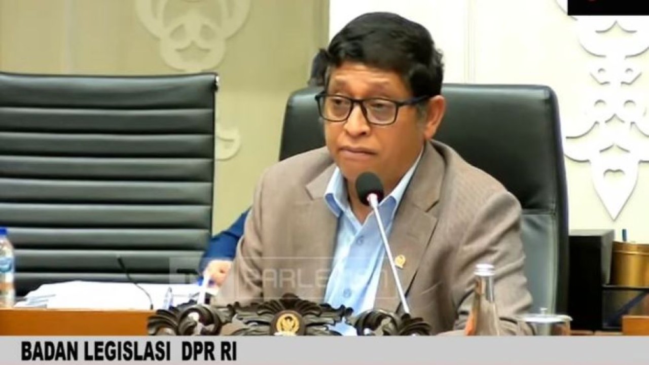 Ketua Baleg DPR RI Bob Hasan. (YouTube)