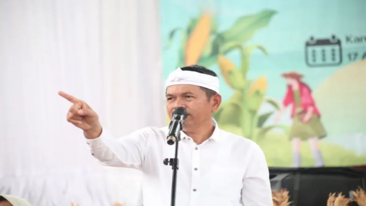 Gubernur Jawa Barat Dedi Mulyadi/ist