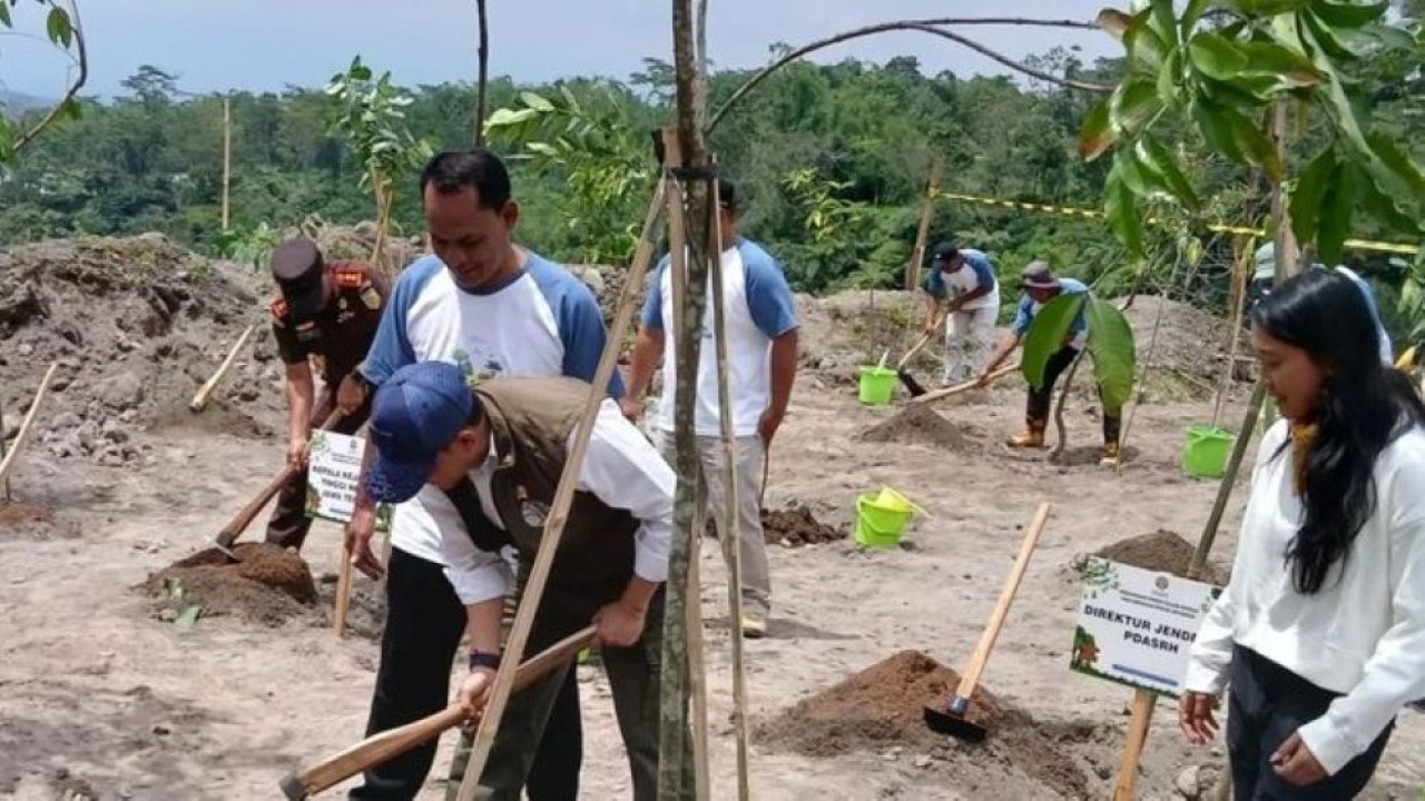 Menteri Kehutanan Raja Juli Antoni menanam pohon di Taman Nasional Gunung Merapi, Kabupaten Magelang, Selasa, 25 November 2025. ANTARA/Heru Suyitno (Antara)