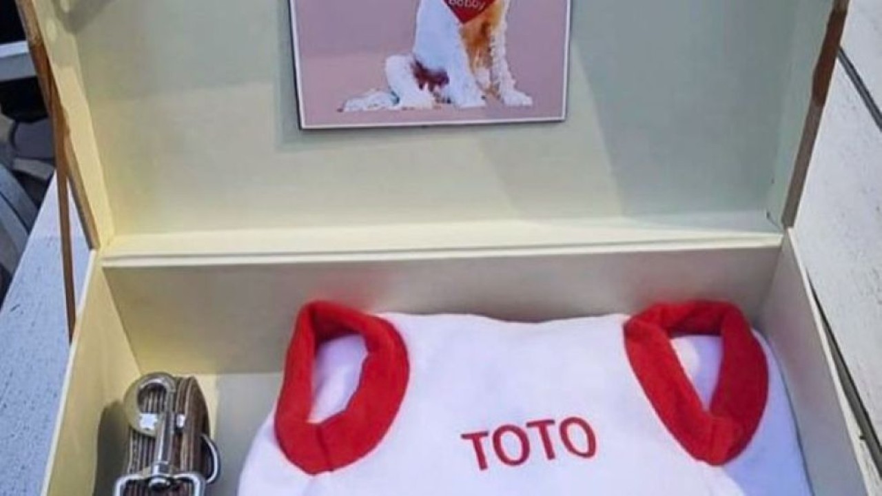 Presiden Prabowo Subianto memberikan kado ke anjing peliharan PM Albanese. (Foto: Istimewa)