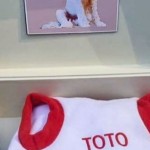 Prabowo Subianto-1763017646