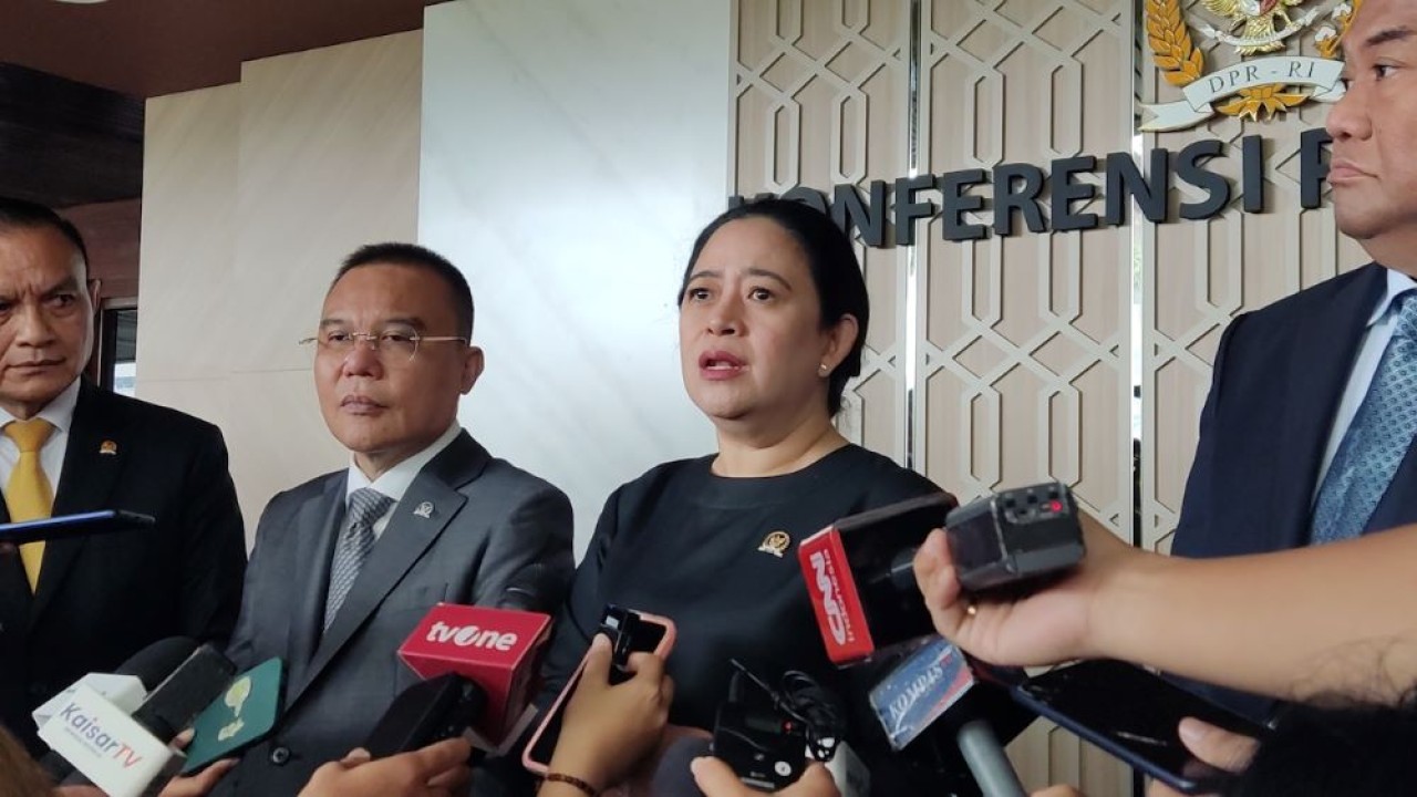 Ketua DPR RI Puan Maharani/ist