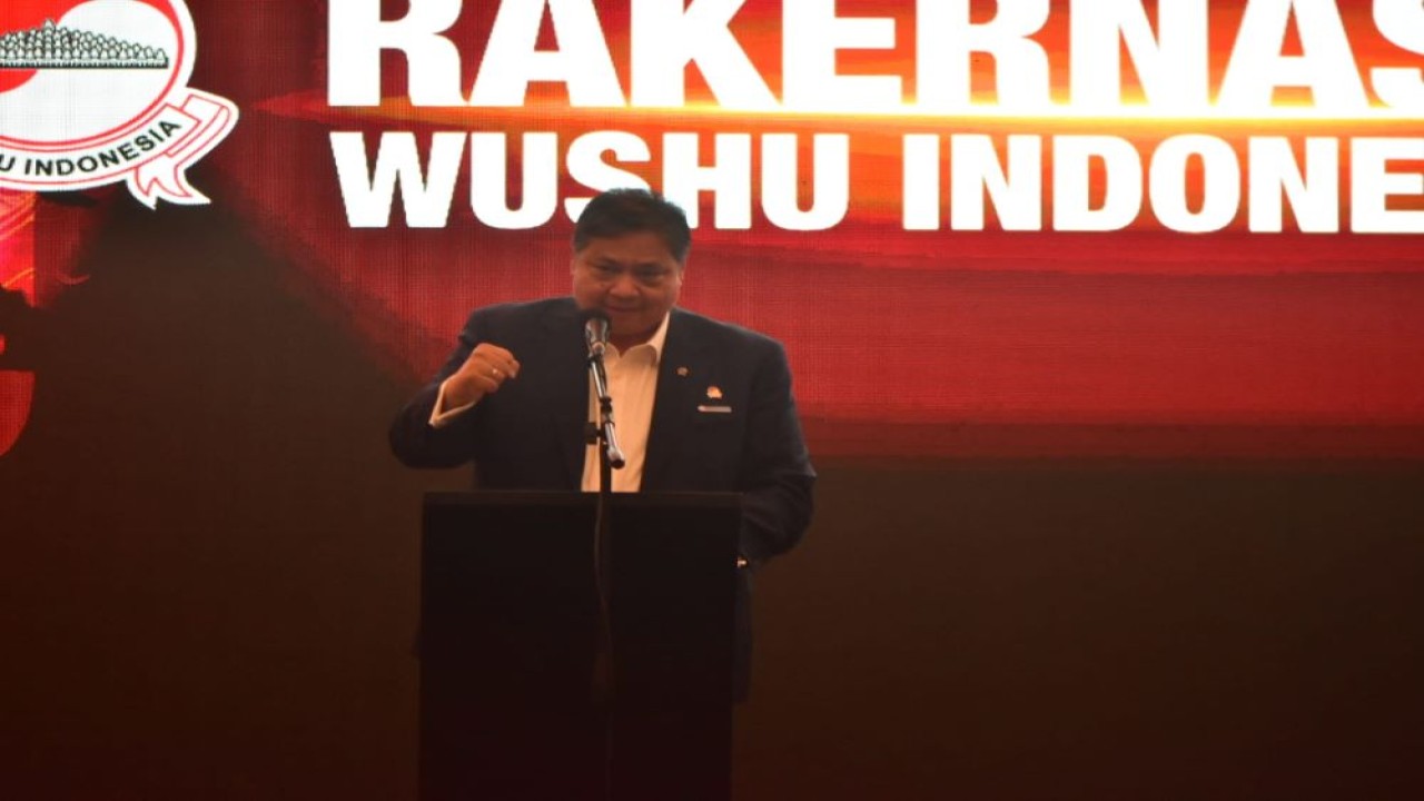 Ketua Umum Pengurus Besar Wushu Indonesia (PB WI) Airlangga Hartarto/ist