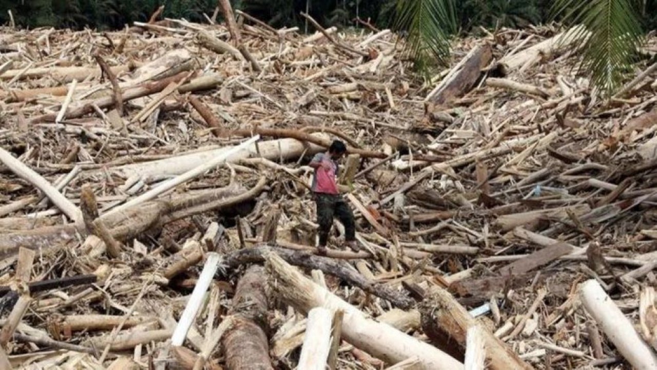Warga berjalan di atas sampah kayu gelondongan pascabanjir bandang di Desa Aek Garoga, Kecamatan Batang Toru, Kabupaten Tapanuli Selatan, Sumatera Utara, Sabtu, 29 November 2025. ANTARA FOTO/Yudi Manar/agr/am. (Antara)