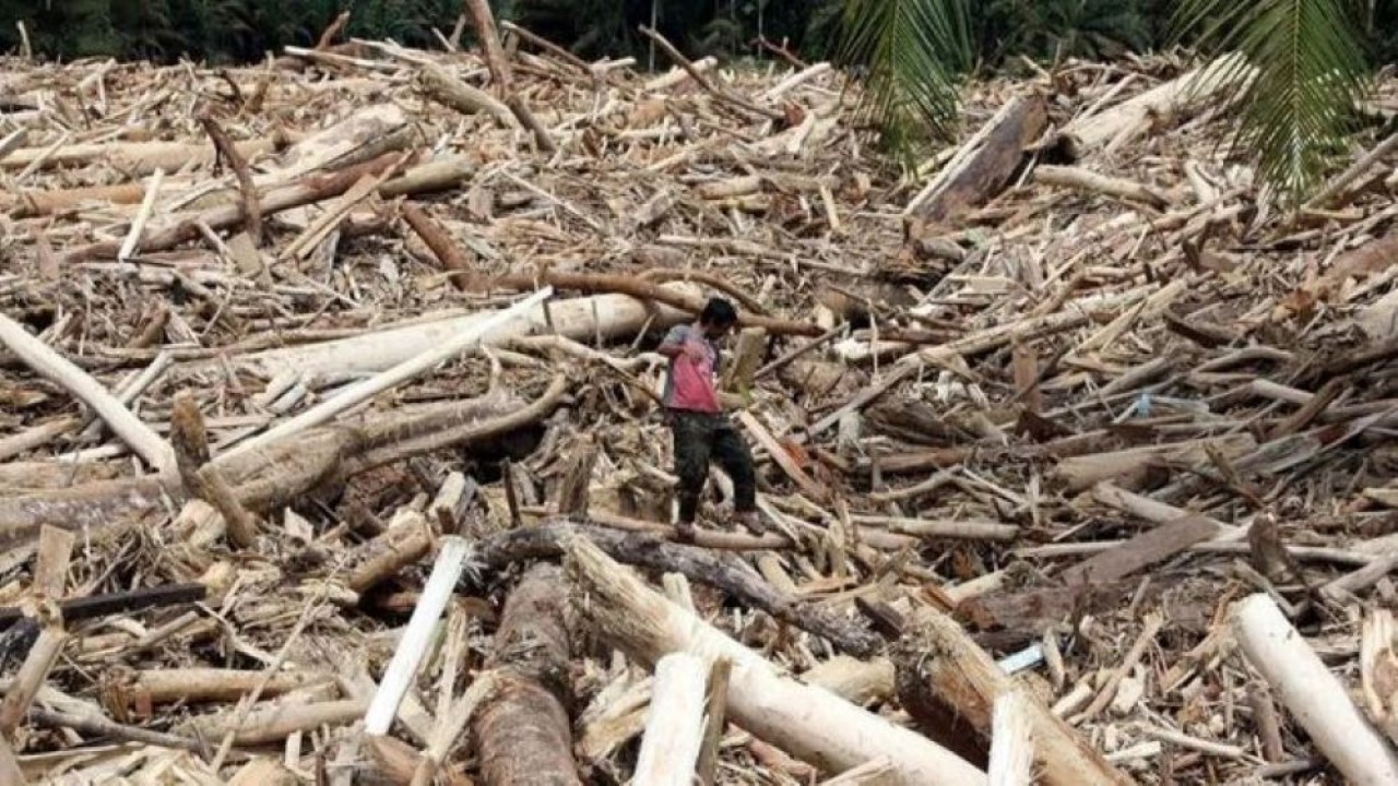 Warga berjalan di atas sampah kayu gelondongan pascabanjir bandang di Desa Aek Garoga, Kecamatan Batang Toru, Kabupaten Tapanuli Selatan, Sumatera Utara, Sabtu, 29 November 2025. (Foto: ANTARA FOTO/Yudi Manar/agr/am)