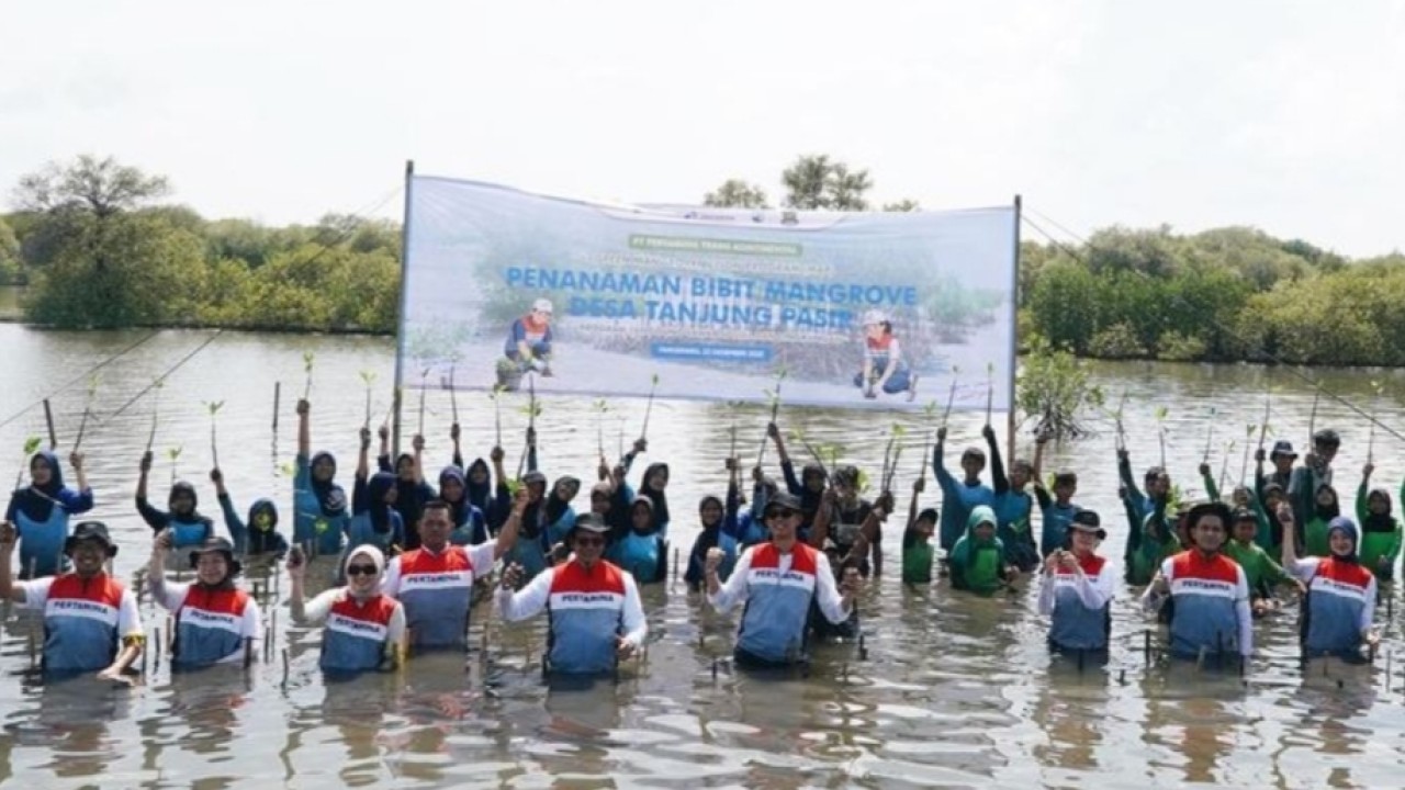 PTK Gelar Penanaman Bibit Mangrove di Tanjung Pasir Tangerang (Pertamina)