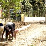 Aceh Tamiang-1768975914