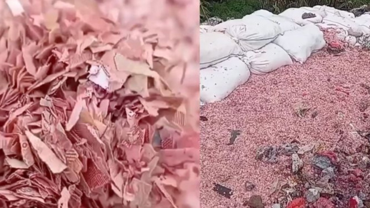 Viral Temuan Cacahan Uang di TPS Liar Bekasi, DLH Selidiki Asal-usulnya (Instagram)