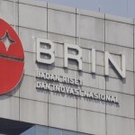 brin-1780204286