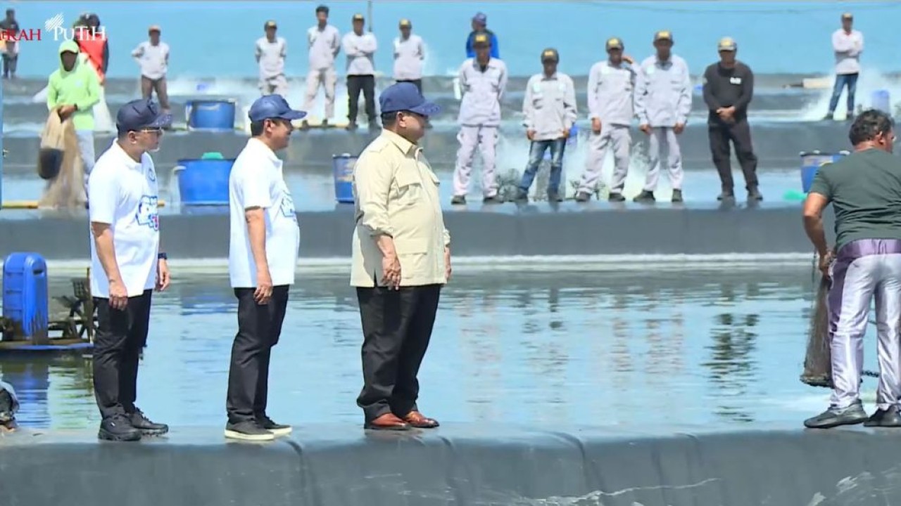 Presiden Prabowo Subianto saat Panen Raya Udang di Tambak Budidaya Udang Berbasis Kawasan (BUBK) di Kebumen, Jawa Tengah, Sabtu (23/5/2026). (Foto: Istimewa)