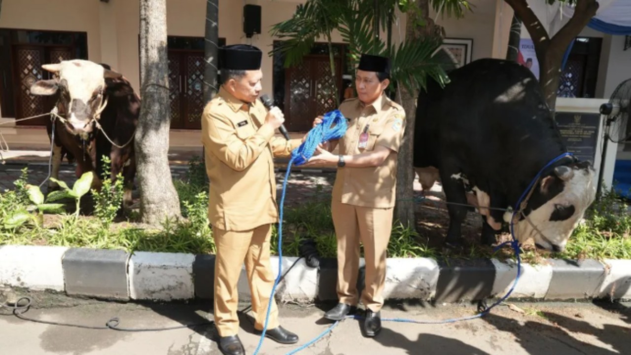 Menteri Dalam Negeri (Mendagri) Muhammad Tito Karnavian menyerahkan secara simbolis hewan kurban yang terkumpul di lingkungan Kementerian Dalam Negeri (Kemendagri) dan Badan Nasional Pengelola Perbatasan (BNPP) kepada kepada masyarakat dan pegawai yang membutuhkan. ANTARA/HO-Kemendagri (Antara)