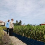 Prabowo Subianto-1782356316